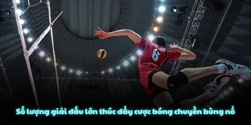 Số lượng giải đấu lớn thúc đẩy cược bóng chuyền bùng nổ