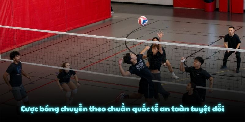 Cược bóng chuyền theo chuẩn quốc tế an toàn tuyệt đối